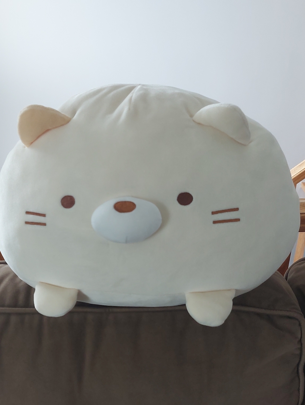 Plush Pillow